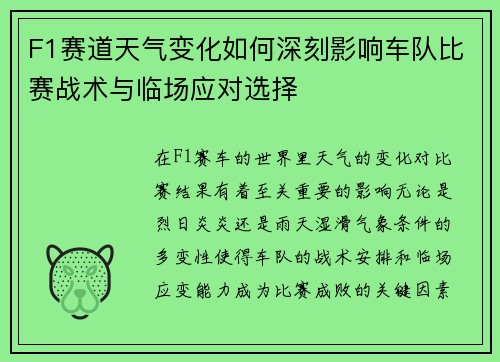 F1赛道天气变化如何深刻影响车队比赛战术与临场应对选择 F1赛道天气变化如何深刻影响车队比赛战术与临场应对选择