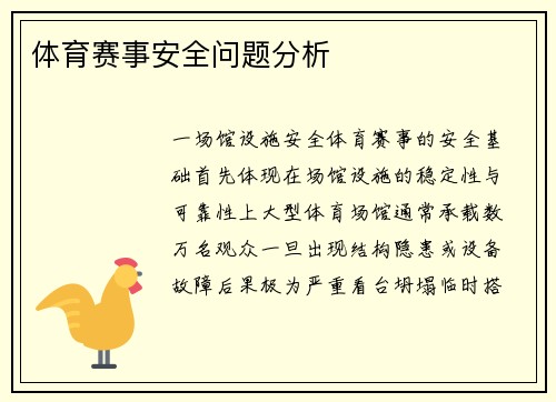 体育赛事安全问题分析